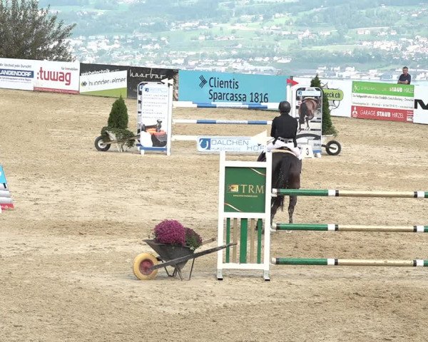 Reitturnier Wädenswil 2020