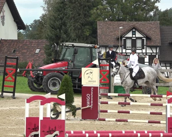 Reitturnier Wädenswil 2020