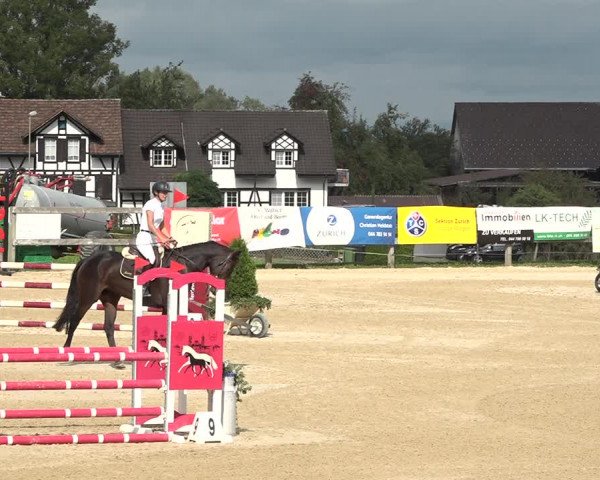 Reitturnier Wädenswil 2020