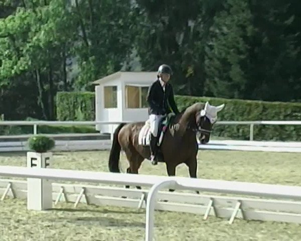 Reitturnier Eiken 2020