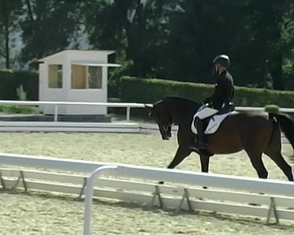 Reitturnier Eiken 2020