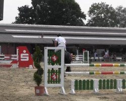 jumper Donnerstag (Westphalian, 2006, from Damon Hill)
