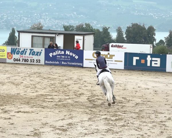 Reitturnier Wädenswil 2020