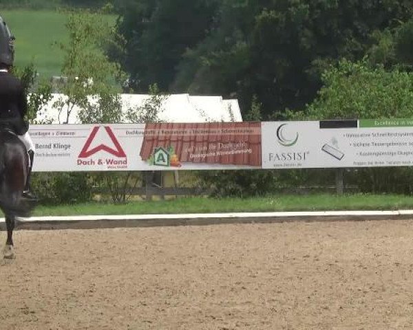 dressage horse Renaissance 114 (Oldenburg, 2009, from Louis de Funes 4)