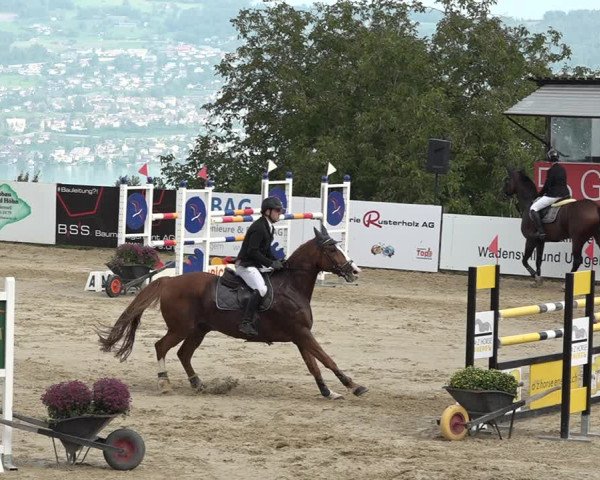 Reitturnier Wädenswil 2020