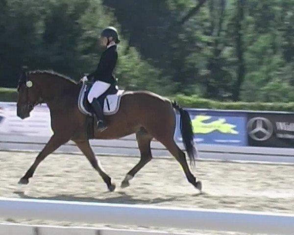 Reitturnier Eiken 2020