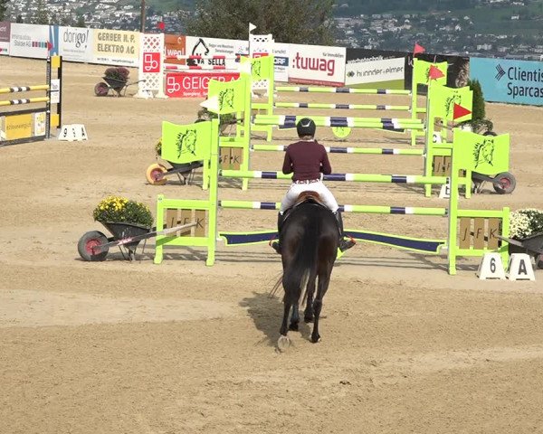 Reitturnier Wädenswil 2020