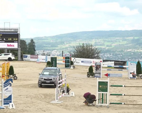 Reitturnier Wädenswil 2020