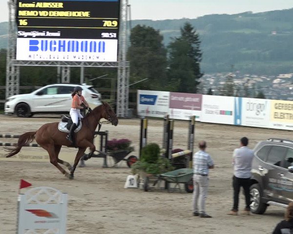 Reitturnier Wädenswil 2020