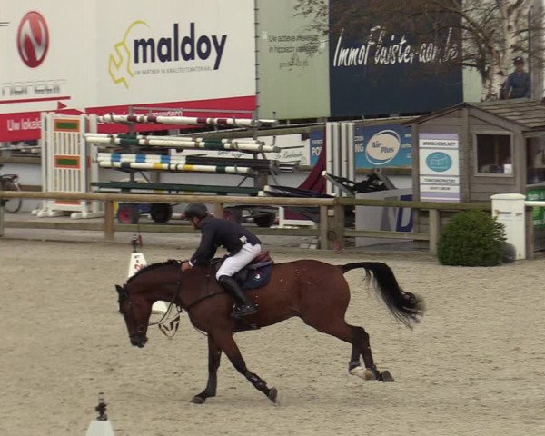 FEI Reitturnier Lier (BEL) 2020