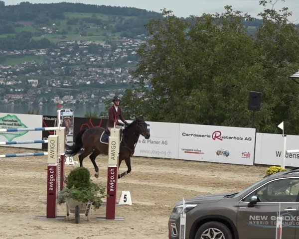 Reitturnier Wädenswil 2020