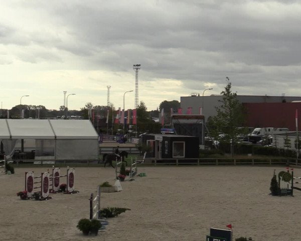 FEI Reitturnier Lier (BEL) 2020