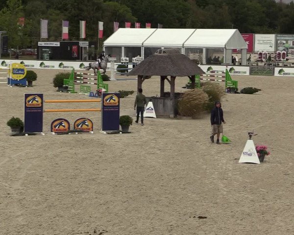 FEI Reitturnier Lier (BEL) 2020