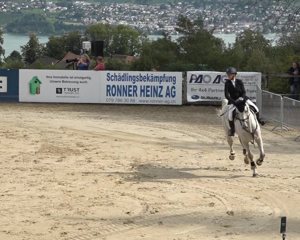 Reitturnier Wädenswil 2020