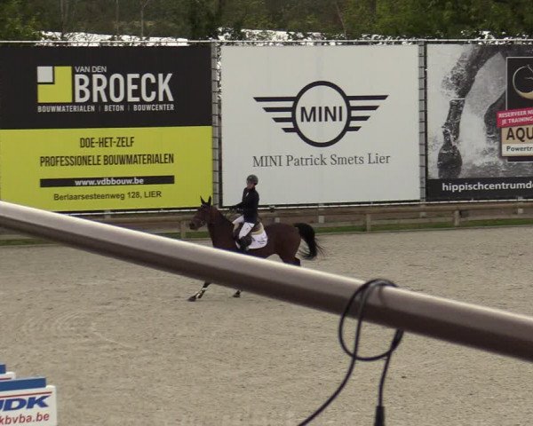 FEI Reitturnier Lier (BEL) 2020