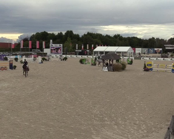 FEI Reitturnier Lier (BEL) 2020