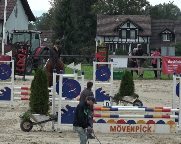 Reitturnier Wädenswil 2020