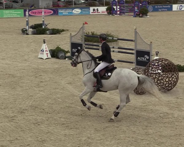 FEI Reitturnier Lier (BEL) 2020