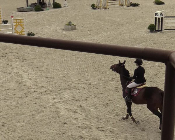 FEI Reitturnier Lier (BEL) 2020