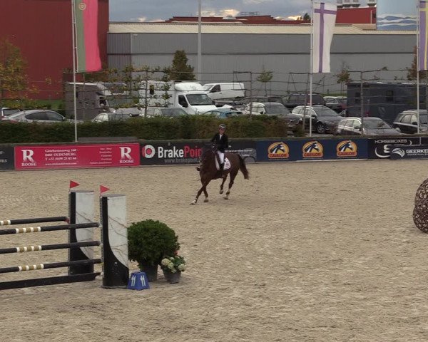 FEI Reitturnier Lier (BEL) 2020