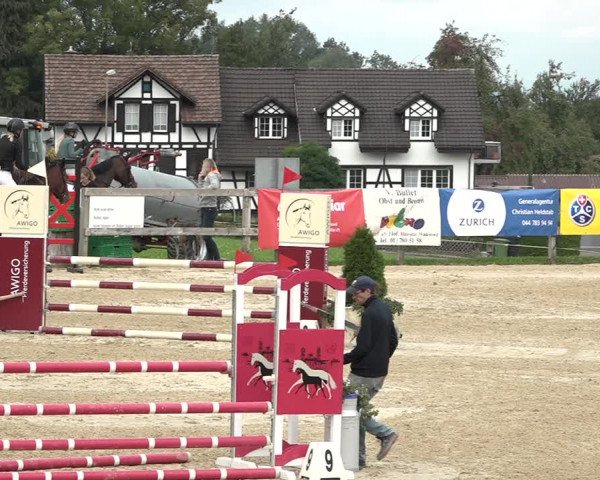 Reitturnier Wädenswil 2020