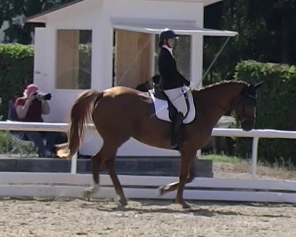 Reitturnier Eiken 2020