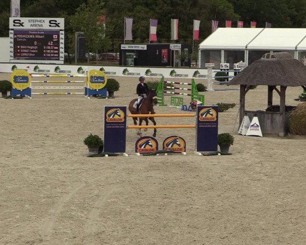 FEI Reitturnier Lier (BEL) 2020