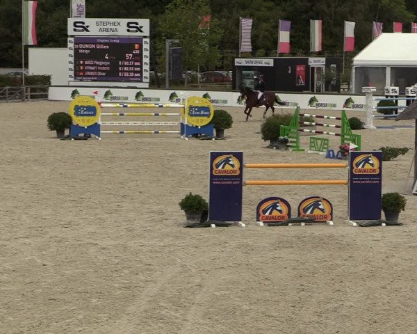 FEI Reitturnier Lier (BEL) 2020