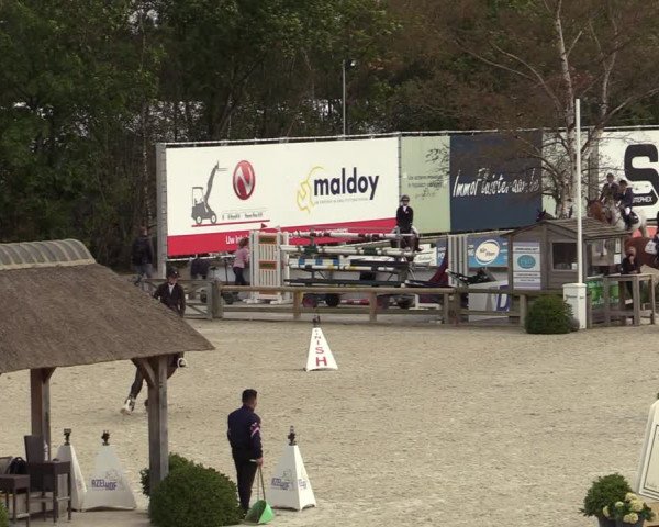 FEI Reitturnier Lier (BEL) 2020