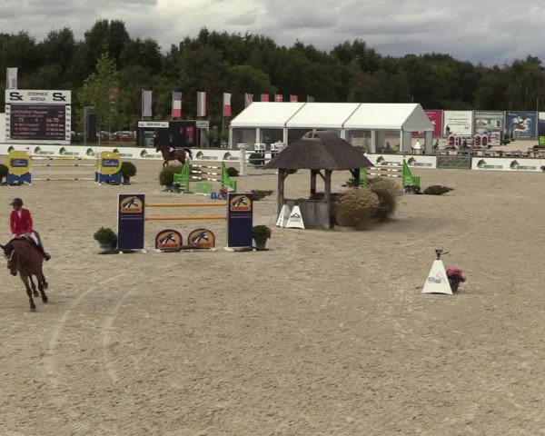 FEI Reitturnier Lier (BEL) 2020
