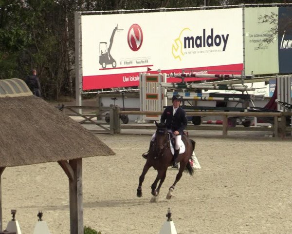 FEI Reitturnier Lier (BEL) 2020