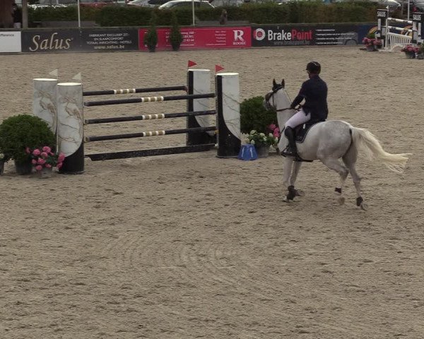FEI Reitturnier Lier (BEL) 2020