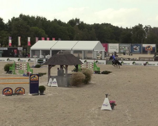 FEI Reitturnier Lier (BEL) 2020