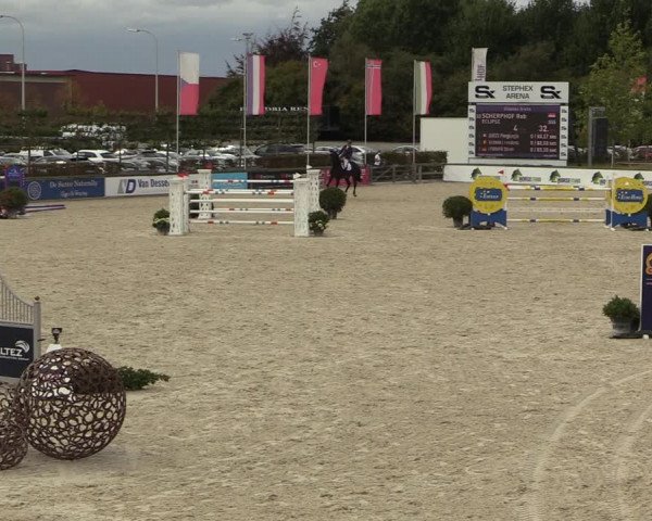 FEI Reitturnier Lier (BEL) 2020