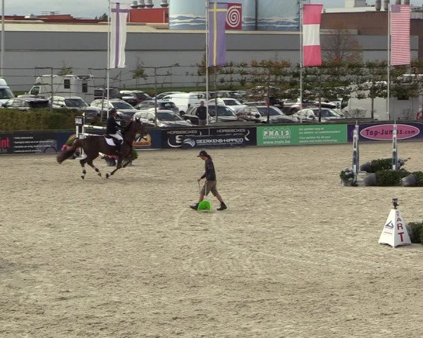 FEI Reitturnier Lier (BEL) 2020