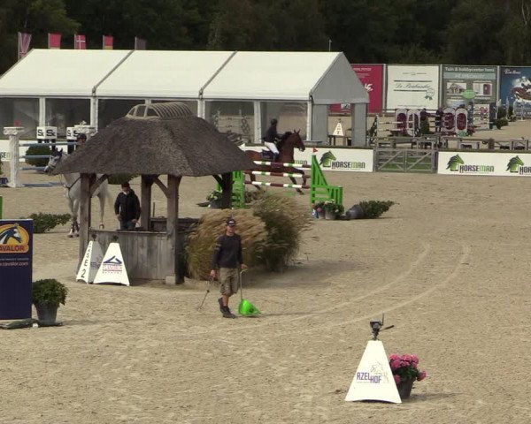 FEI Reitturnier Lier (BEL) 2020