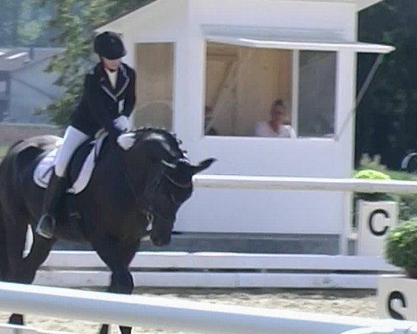 Reitturnier Eiken 2020