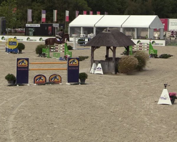 FEI Reitturnier Lier (BEL) 2020