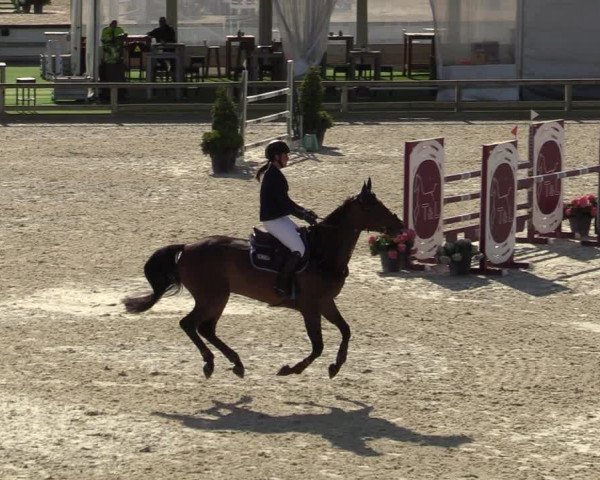 FEI Reitturnier Lier (BEL) 2020
