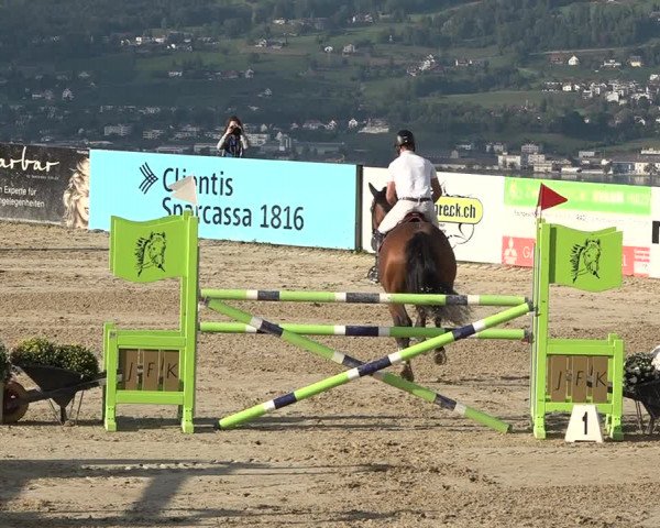 Reitturnier Wädenswil 2020
