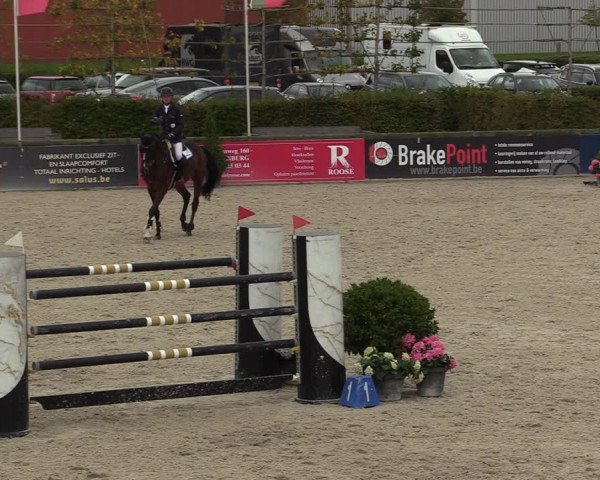 FEI Reitturnier Lier (BEL) 2020