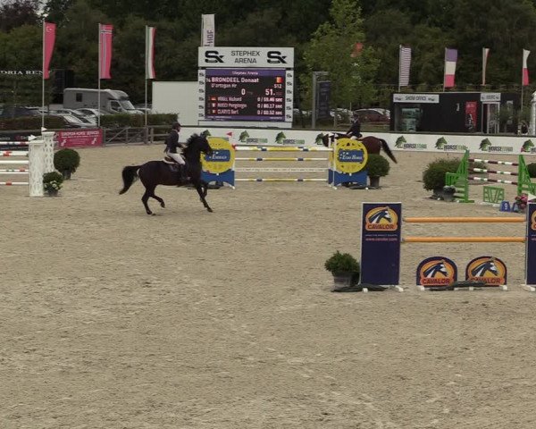 FEI Reitturnier Lier (BEL) 2020