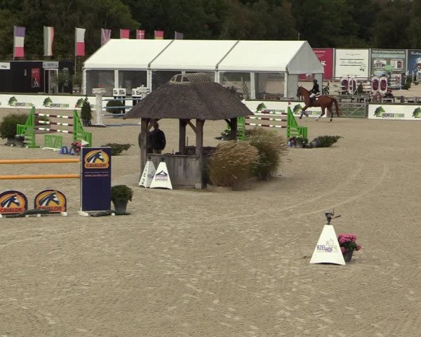 FEI Reitturnier Lier (BEL) 2020
