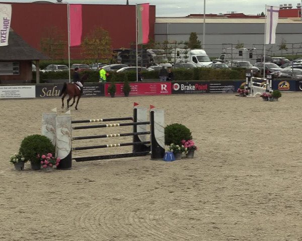 FEI Reitturnier Lier (BEL) 2020