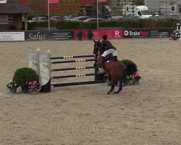 FEI Reitturnier Lier (BEL) 2020