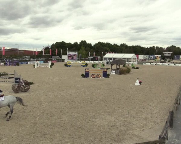 FEI Reitturnier Lier (BEL) 2020