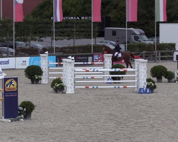 FEI Reitturnier Lier (BEL) 2020