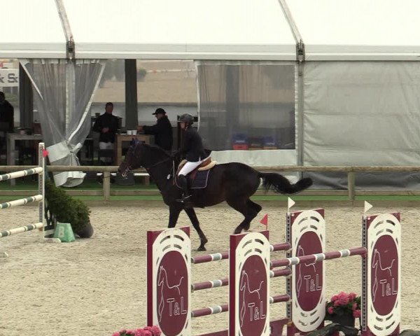 FEI Reitturnier Lier (BEL) 2020