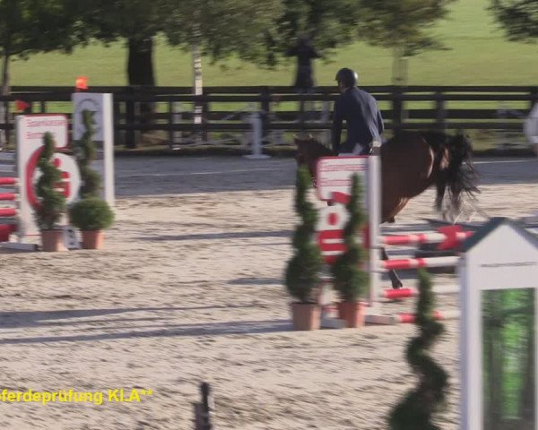 Reitturnier Kirchhellen/Stall Dieckmann 2020