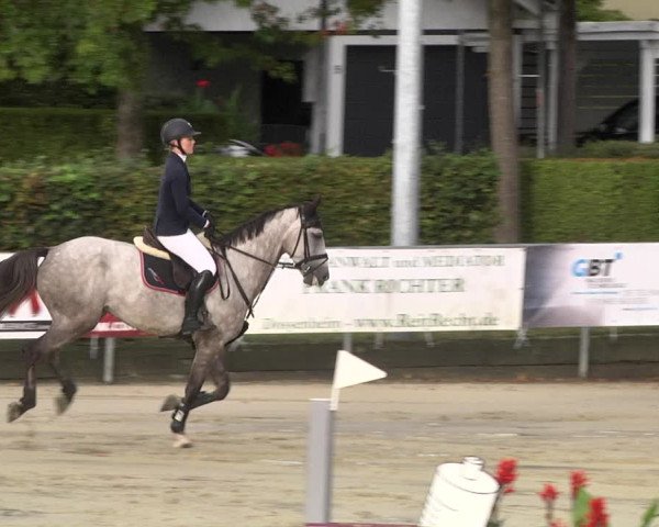 Reitturnier Schutterwald 2020